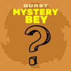 Burst Mystery Bey | Takara Tomy